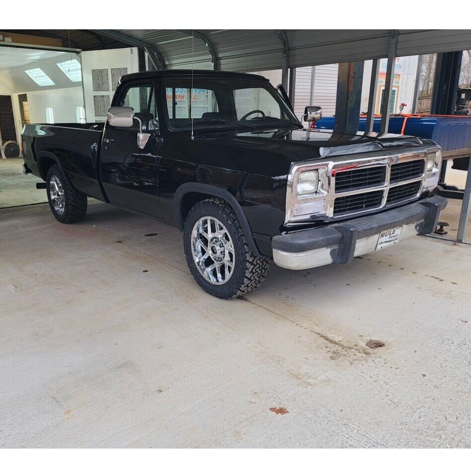 Chevrolet Other Pickups  1993