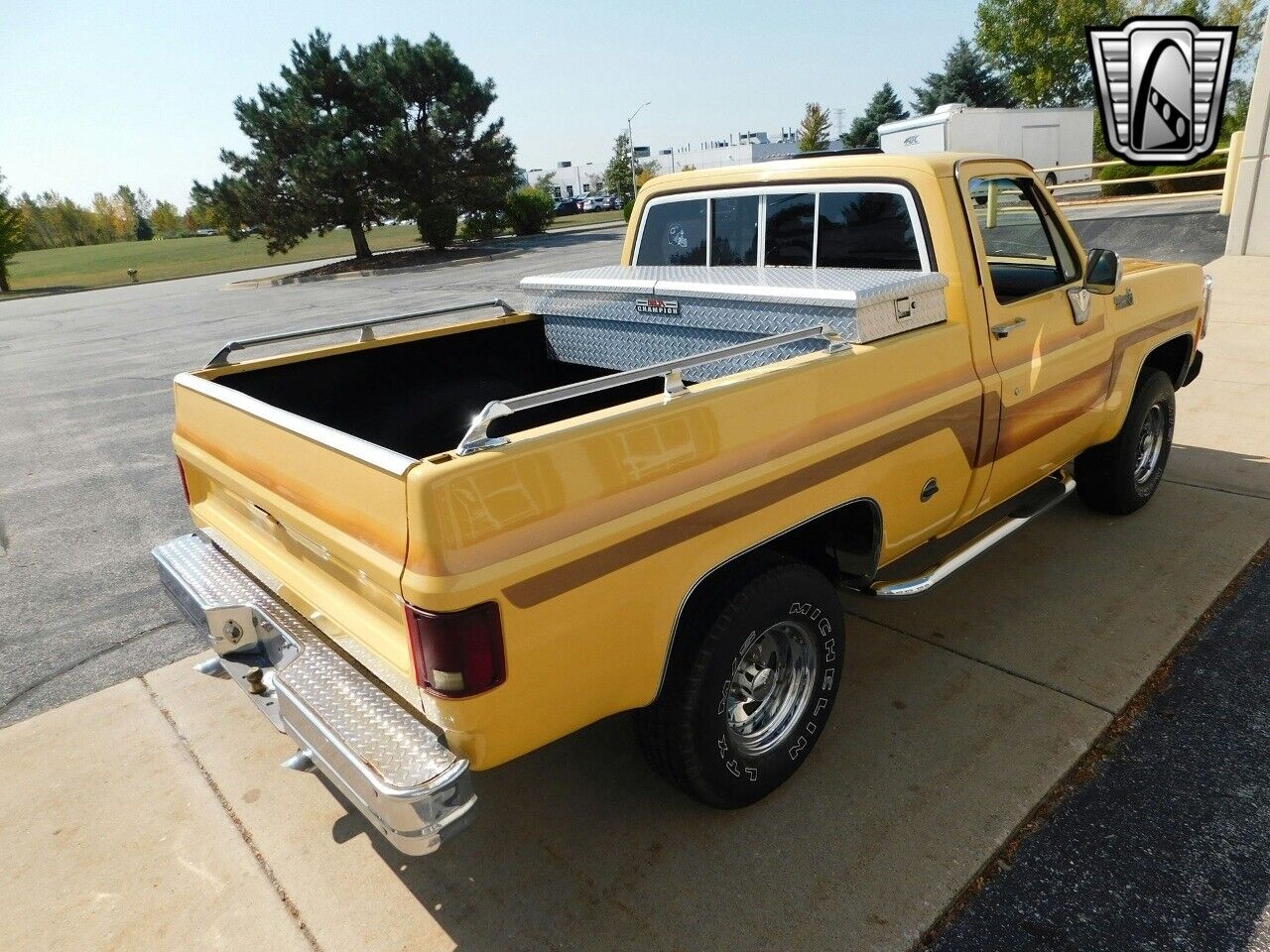 Chevrolet-Other-Pickups-Cabriolet-1978-4