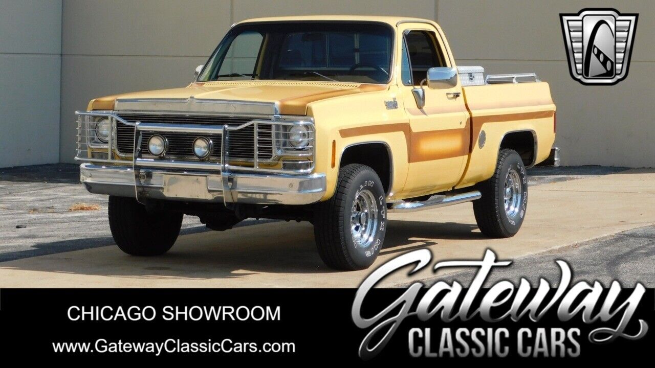 Chevrolet Other Pickups Cabriolet 1978