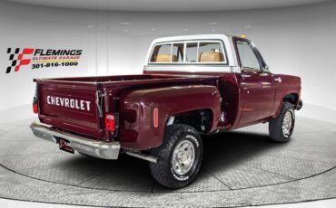 Chevrolet-Other-Pickups-Pickup-1978-4