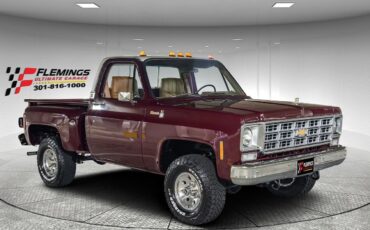 Chevrolet-Other-Pickups-Pickup-1978-6