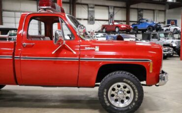 Chevrolet-Other-Pickups-Pickup-1979-10