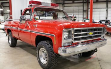 Chevrolet-Other-Pickups-Pickup-1979-11