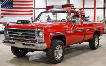 Chevrolet Other Pickups Pickup 1979