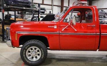 Chevrolet-Other-Pickups-Pickup-1979-2