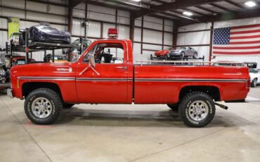 Chevrolet-Other-Pickups-Pickup-1979-3