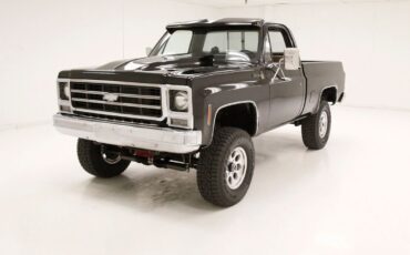 Chevrolet Other Pickups Pickup 1979