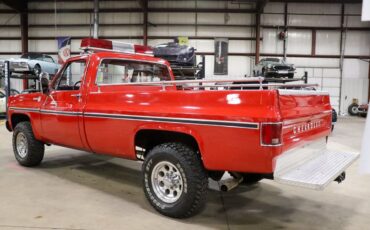 Chevrolet-Other-Pickups-Pickup-1979-5