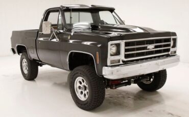 Chevrolet-Other-Pickups-Pickup-1979-5