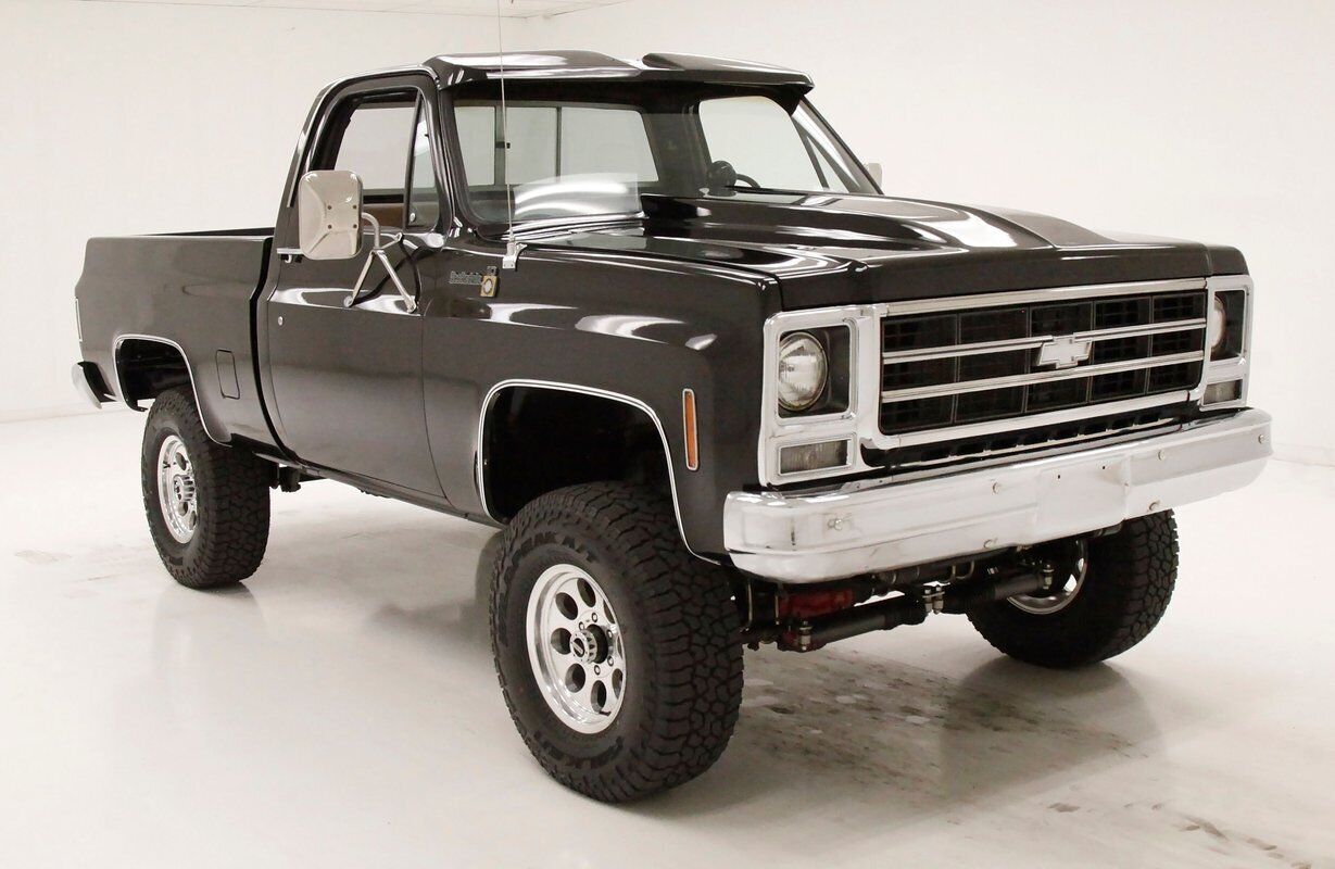 Chevrolet-Other-Pickups-Pickup-1979-5