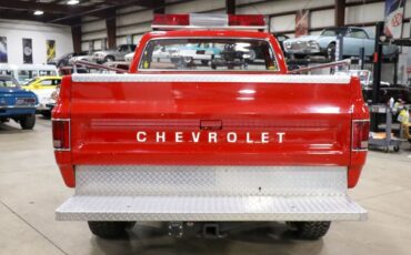 Chevrolet-Other-Pickups-Pickup-1979-6