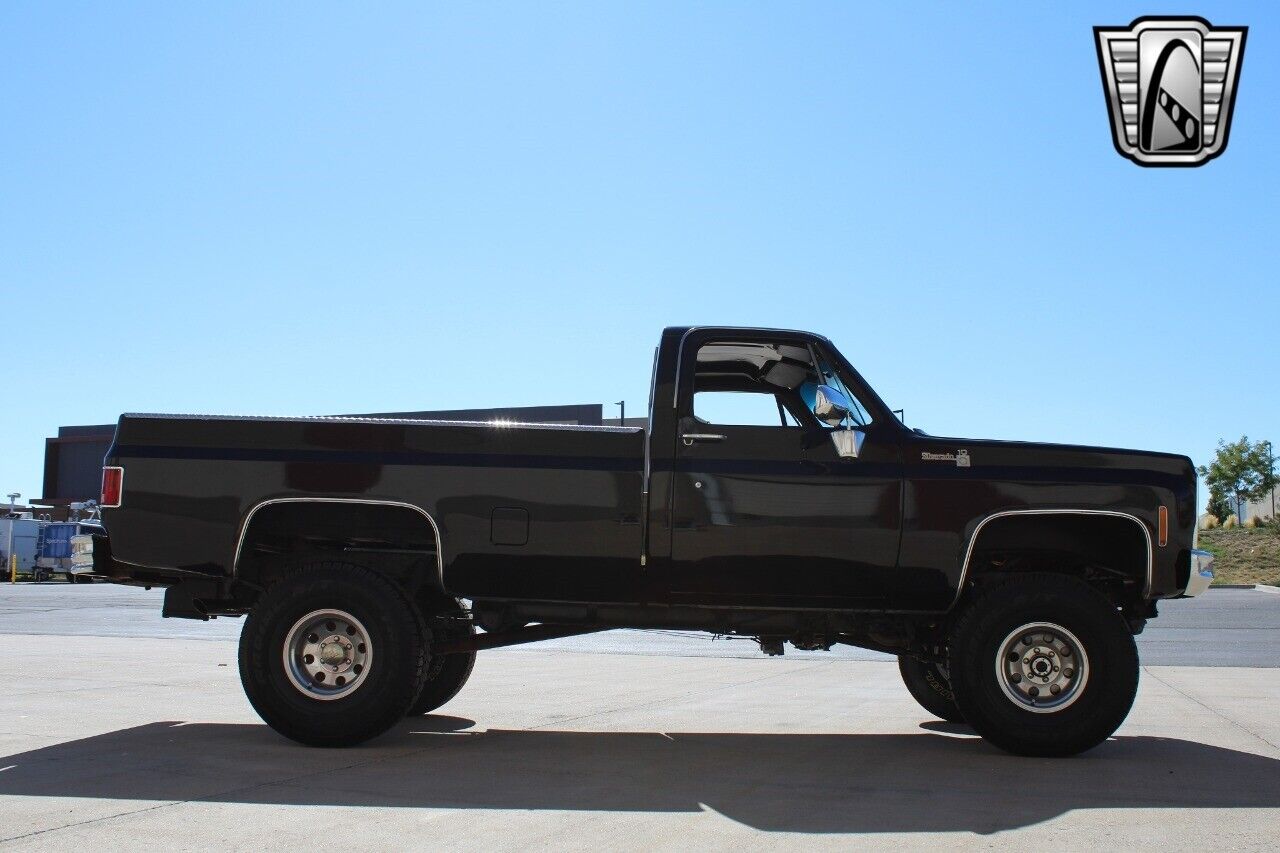 Chevrolet-Other-Pickups-Pickup-1979-7