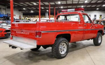 Chevrolet-Other-Pickups-Pickup-1979-7