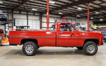 Chevrolet-Other-Pickups-Pickup-1979-9