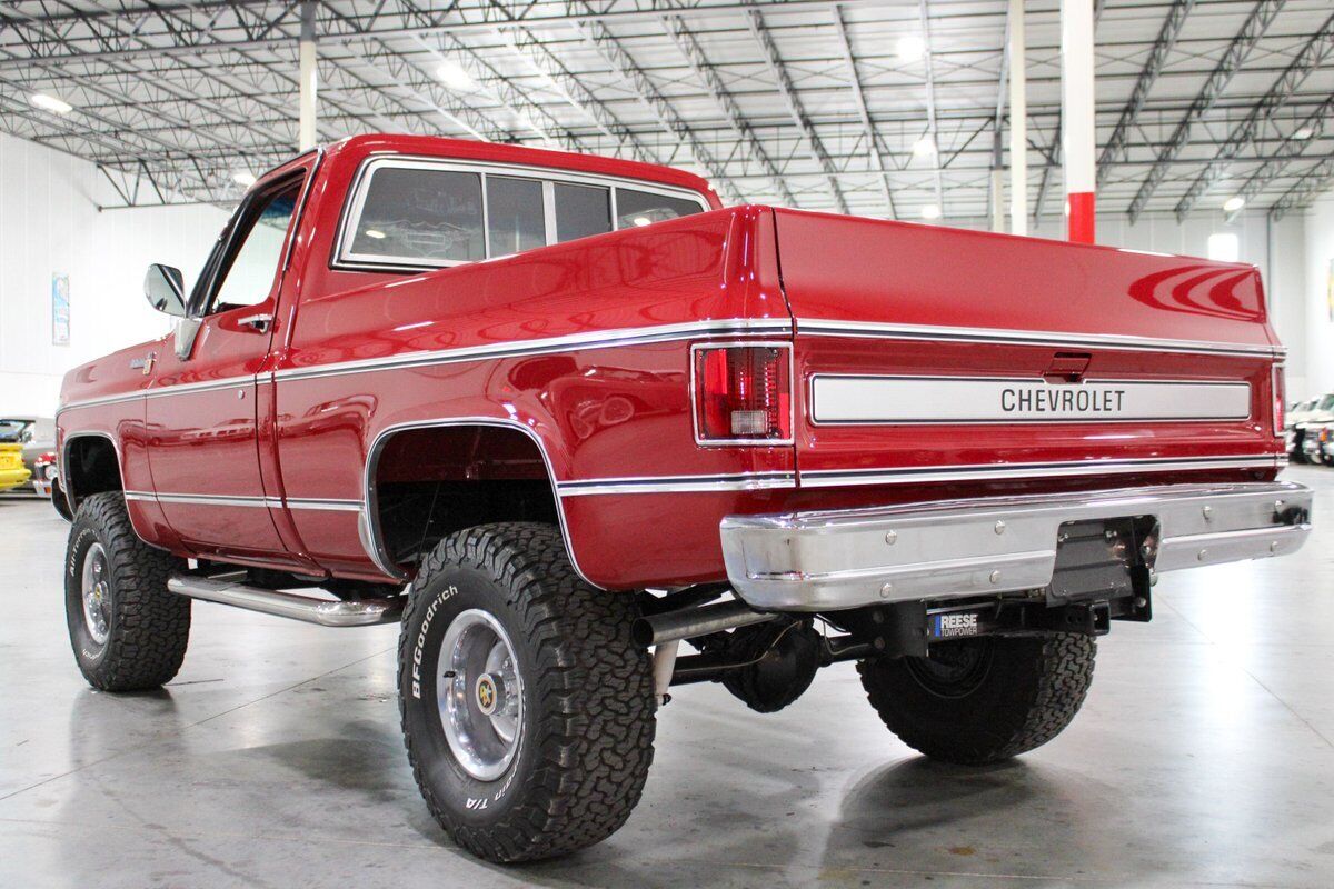 Chevrolet-Other-Pickups-Pickup-1980-2