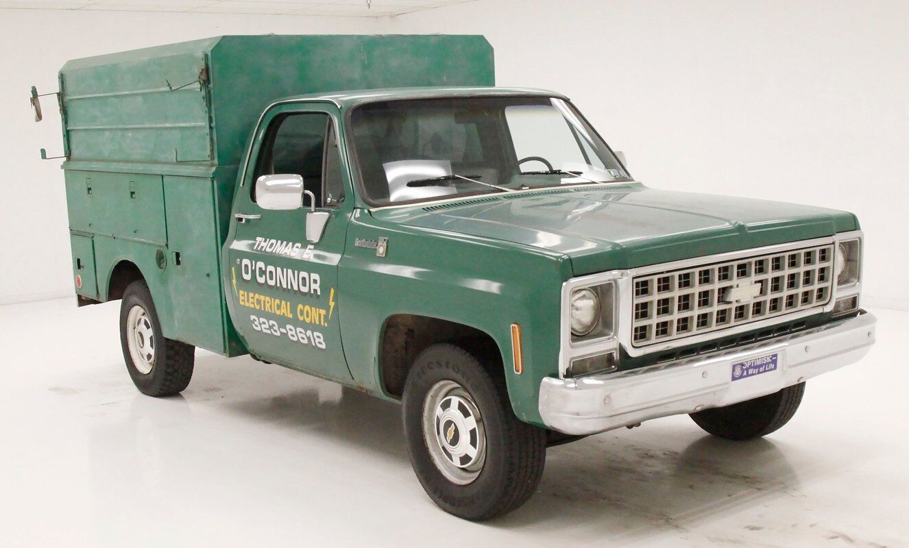 Chevrolet-Other-Pickups-Pickup-1980-6