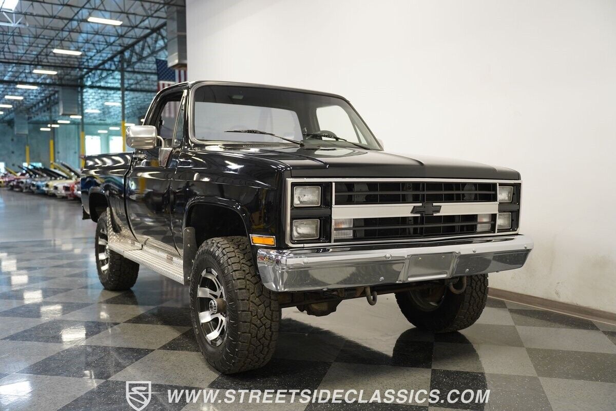 Chevrolet-Other-Pickups-Pickup-1981-14