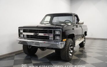 Chevrolet-Other-Pickups-Pickup-1981-17