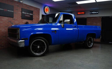 Chevrolet Other Pickups Pickup 1983