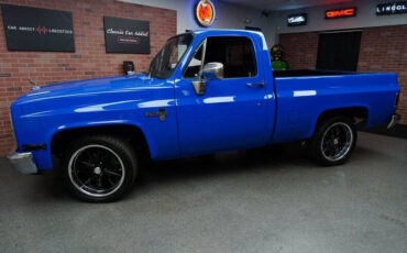 Chevrolet-Other-Pickups-Pickup-1983-4