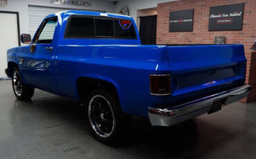 Chevrolet-Other-Pickups-Pickup-1983-6