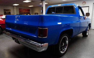 Chevrolet-Other-Pickups-Pickup-1983-8