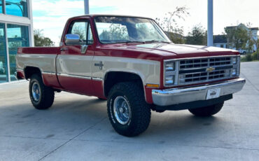 Chevrolet-Other-Pickups-Pickup-1985-2