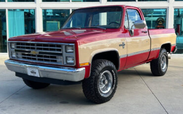 Chevrolet Other Pickups Pickup 1985