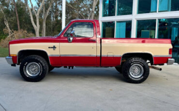 Chevrolet-Other-Pickups-Pickup-1985-8