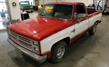 Chevrolet-Other-Pickups-Pickup-1986-2