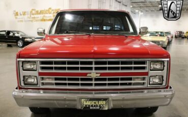 Chevrolet-Other-Pickups-Pickup-1986-5