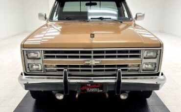 Chevrolet-Other-Pickups-Pickup-1986-7