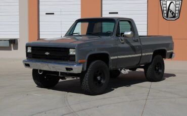 Chevrolet-Other-Pickups-Pickup-1987-2