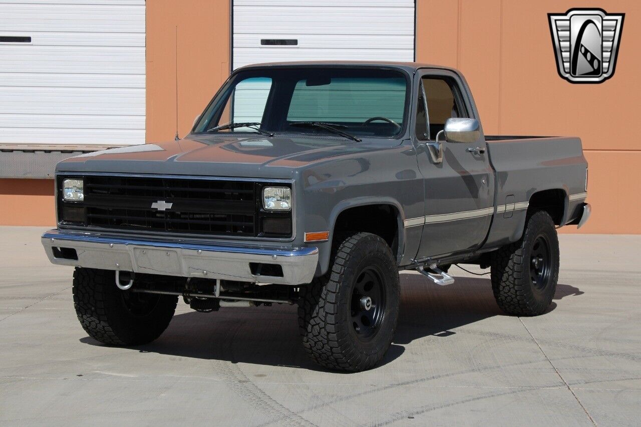 Chevrolet-Other-Pickups-Pickup-1987-3