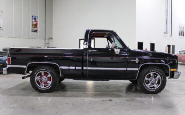 Chevrolet-Other-Pickups-Pickup-1987-8