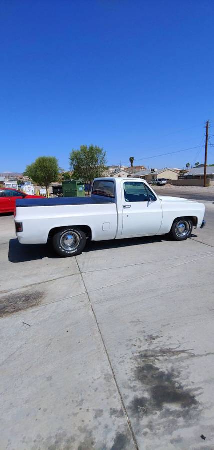 Chevrolet-Pickup-1979-12