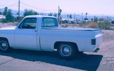 Chevrolet-Pickup-1979-5