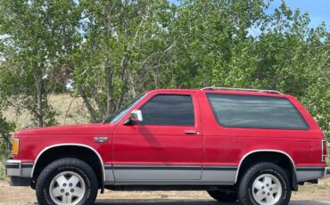 Chevrolet-S10-blazer-1989-19