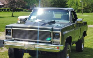 Chevrolet-Short-bed-truck-1979-13