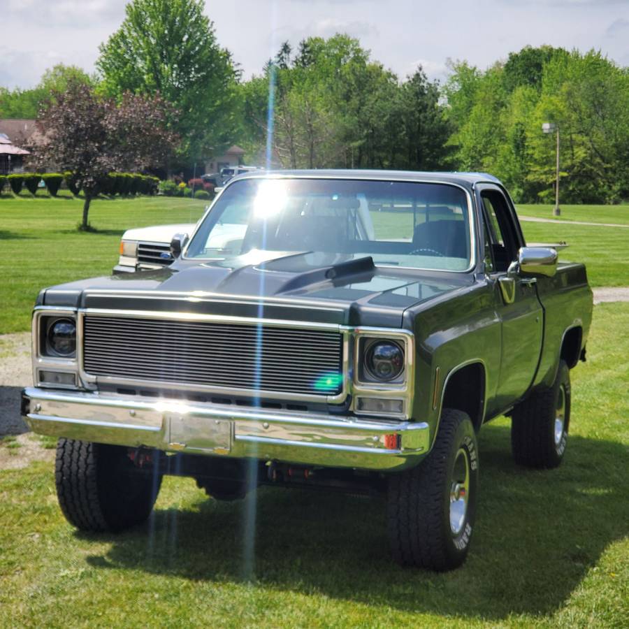 Chevrolet-Short-bed-truck-1979-13