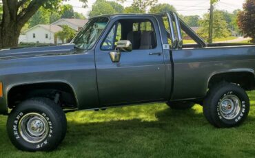 Chevrolet-Short-bed-truck-1979-3