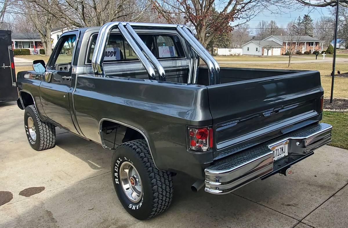 Chevrolet-Short-bed-truck-1979-8