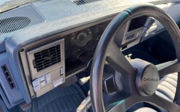 Chevrolet-Silverado-1500-1991-9