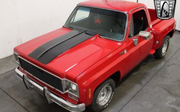 Chevrolet-Silverado-1500-Pickup-1976-8