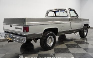 Chevrolet-Silverado-1500-Pickup-1979-11