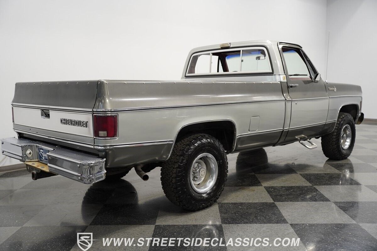 Chevrolet-Silverado-1500-Pickup-1979-11