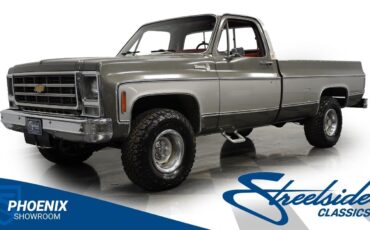 Chevrolet Silverado 1500 Pickup 1979