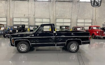 Chevrolet-Silverado-1500-Pickup-1979-3