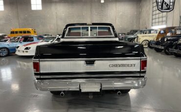 Chevrolet-Silverado-1500-Pickup-1979-4