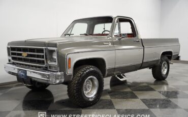 Chevrolet-Silverado-1500-Pickup-1979-5